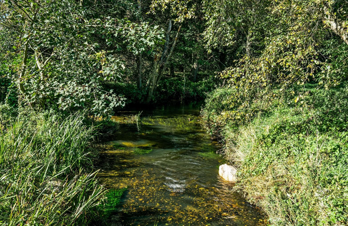 Kærsgaard (Jylland)