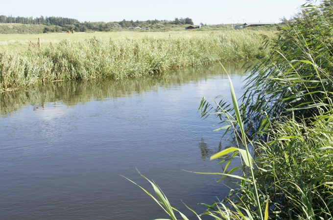 Kærsgaard (Jylland)