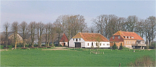 Mjelsgaard