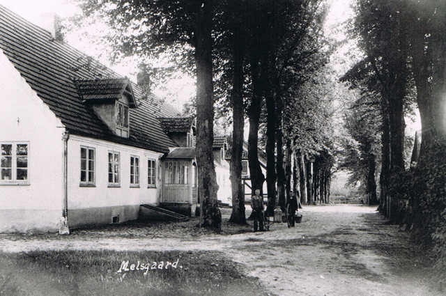 Mjelsgaard