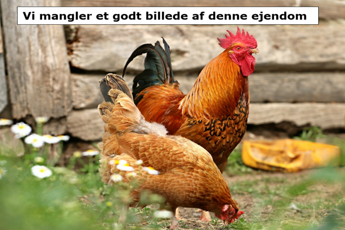 Nørre Elkær