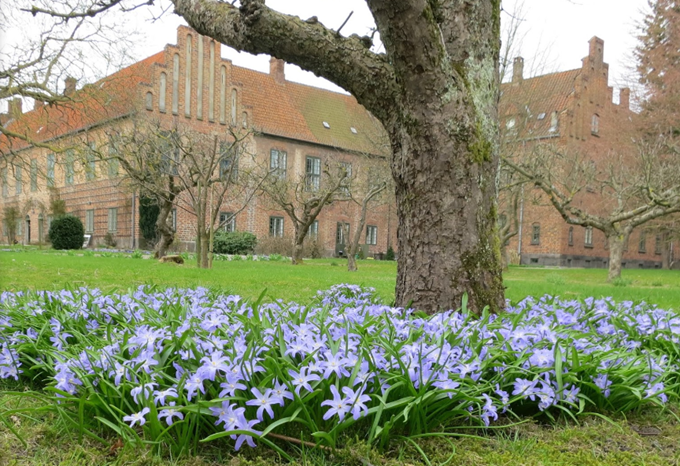 Roskilde Kloster