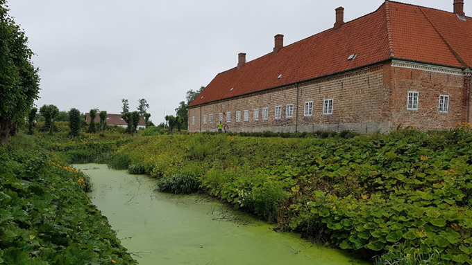 Sæbygaard (Jylland)